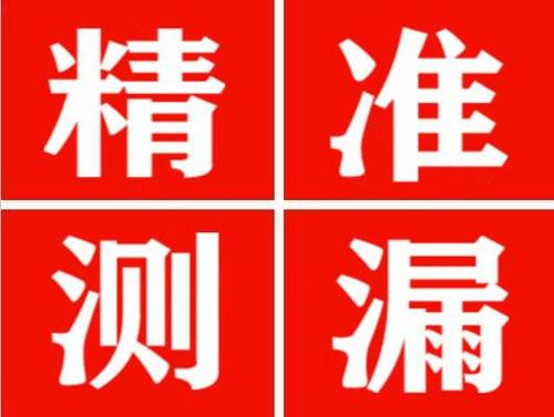 莒县尚嘉漏水精准查找